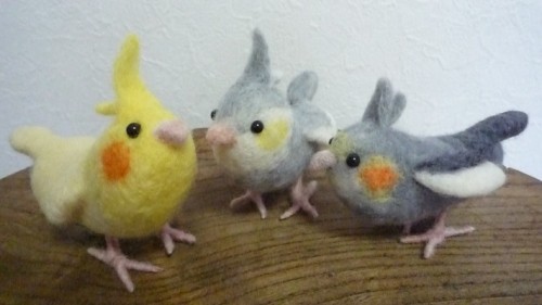 ぴよ、ぴよ、ぴよ～！