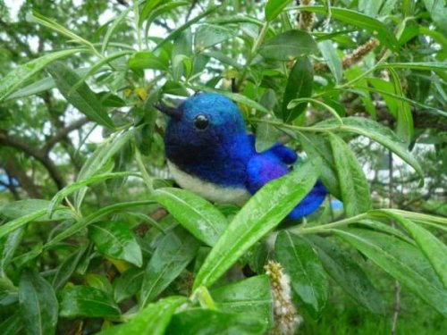 るり色の　鳥さん　と　心ゆたか。。