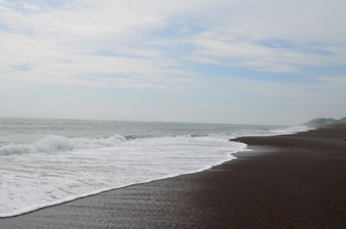 海と　花と　でまえ講座～①