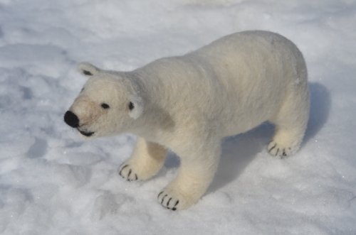 シロクマたちの　おしゃべり。。