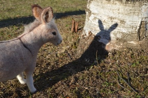 　ロバの　ミミさん＾＾