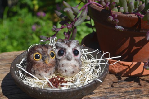 　小さなコノハズクの　ストラップと　庭の花*