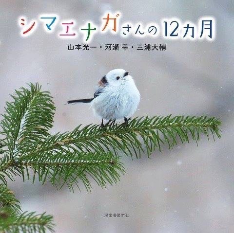 写真集「シマエナガさんの12ヶ月」本日18:10~NHKほっとニュース北海道!