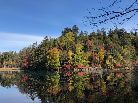 紅葉を愛でに阿寒方面へ〜シマリスと遭遇^^