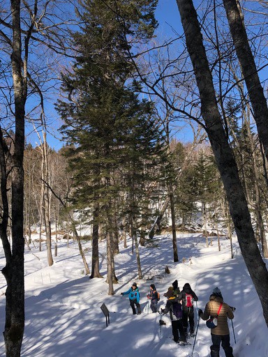 十勝三股を　スノーシューで散策!クマゲラに遭遇♪