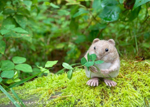 まんまるで　おとぼけな。。^^