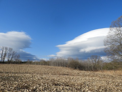 風が強い日の　ふしぎ雲