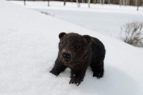 雪の上に　ヒグマ!!