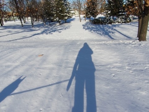 **雪みち散歩　*