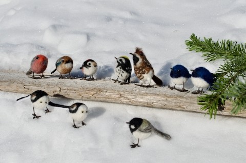 ちっちゃドリ達　三股山荘へ!!と　水鳥〜