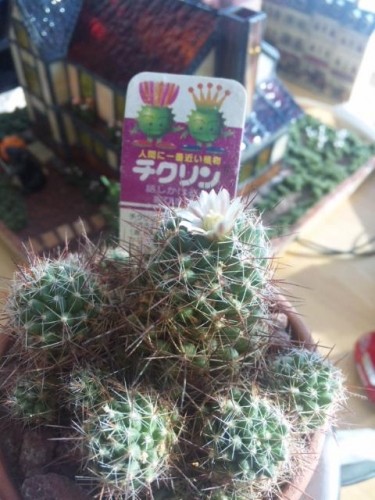 エスタまでタイムリミット
