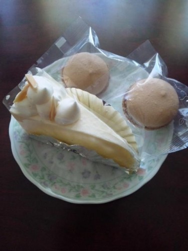 毎日出掛けてます_(_^_)