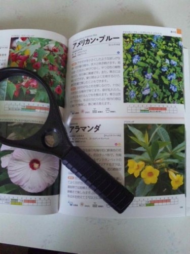 必読書?