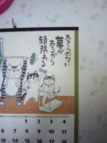 お留守番もなかなか大変です…′∀′