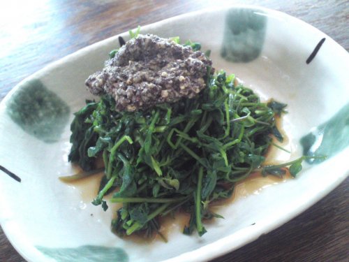 道草料理入門と発芽!