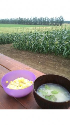 朝活しました~(o^∀^o)