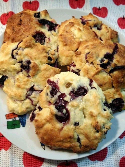 ブルーベリークリームチーズ