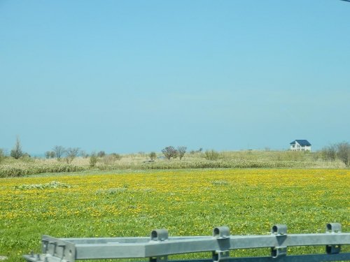 素敵なプレゼント~と、山!