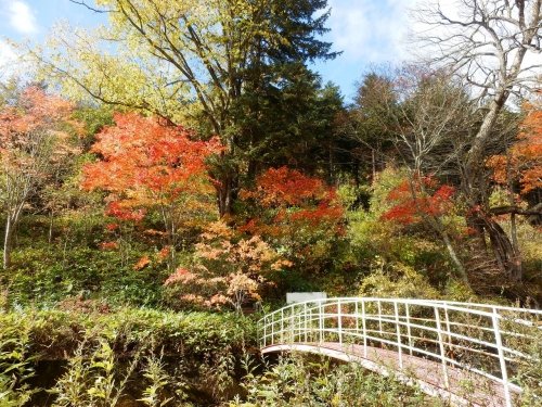 久々の十勝訪問!