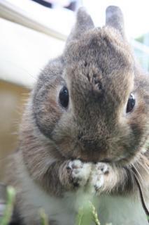 初めてみた。(*´ω｀*)