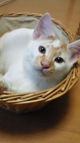 ハアハアしまくり…