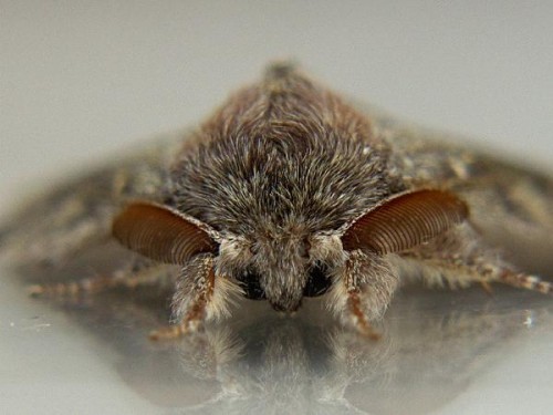 冬はつまらない。