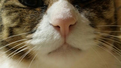 今日～は何の日♪フッフ～ン♪♪♪