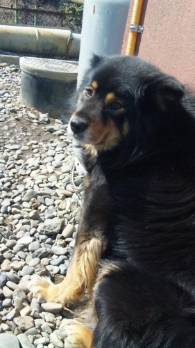 写メ撮っても良いですか？