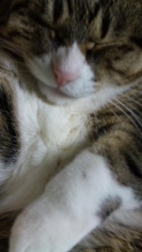 遅くなりましたが報告です。