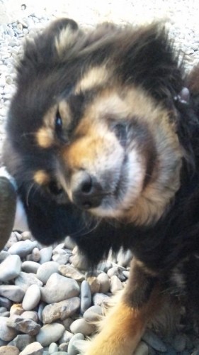 カユカユ痒い話。