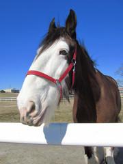 連休が欲しい。(*´з`*)ブー