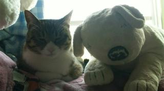 復帰の前夜。。。