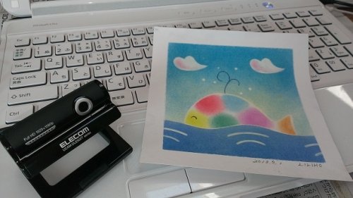 初スカイプ成功♪