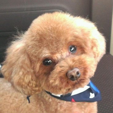 16日のお知らせ~~~♪