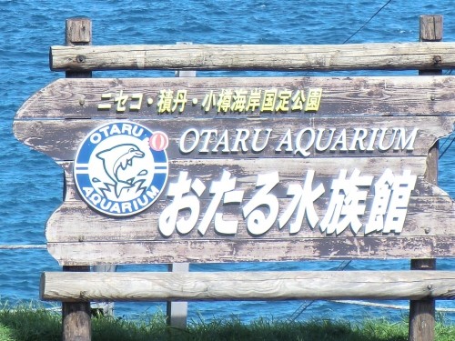 さよなら　カピバラくん　