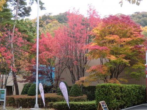 動物園から 円山公園までお散歩♪