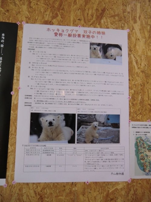 『金曜日のララたちへ』~円山ZOO