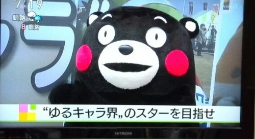熊本の営業部長がテレビに~~