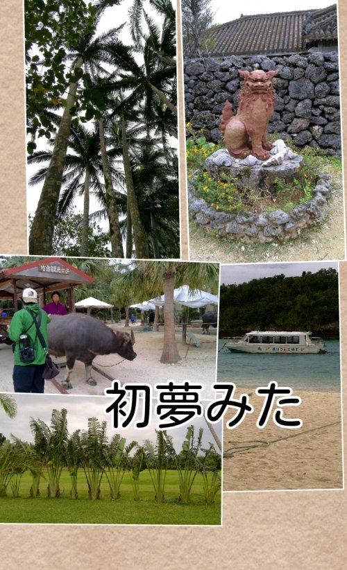 夢みる主婦じゃいられない!?