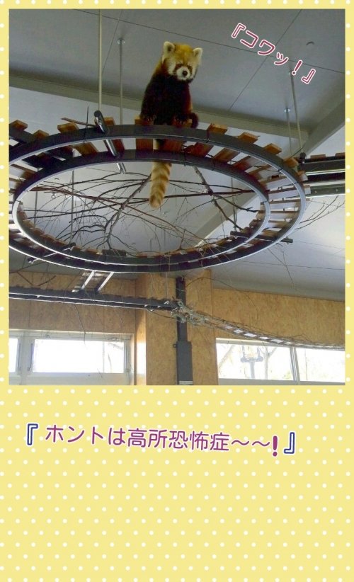 上から～目線♪