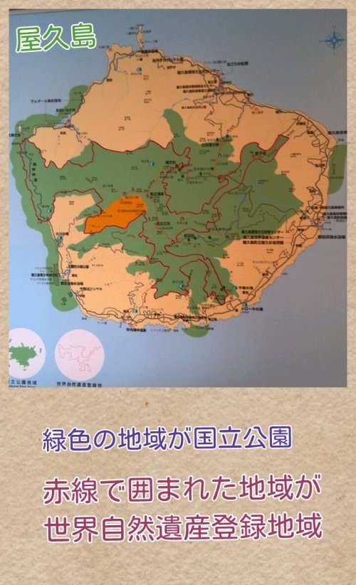世界自然遺産~屋久島