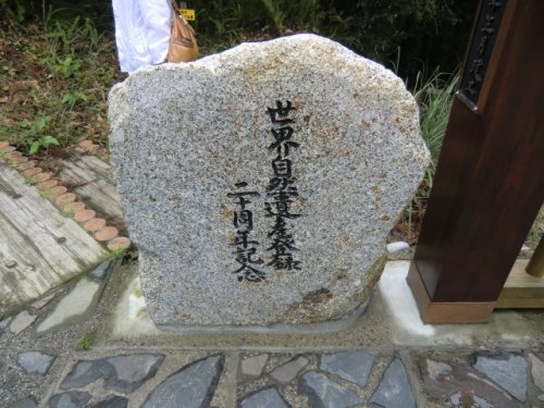 屋久島トレッキング入門編~ヤクスギランド
