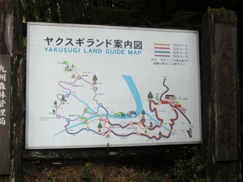 ヤクスギランド(その2)