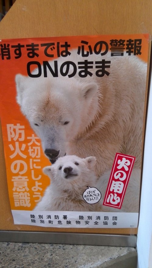 なぞの白くま親子
