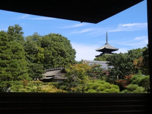 京のたび~仁和寺(にんなじ)