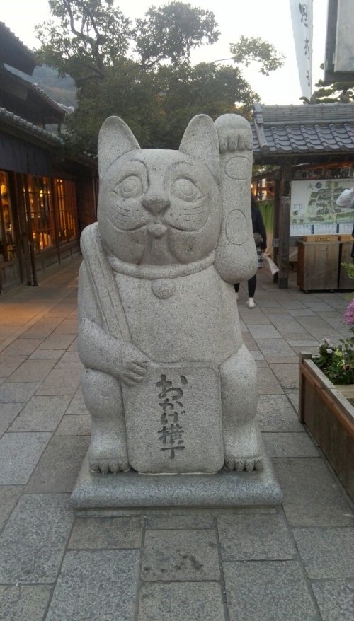 働くおネコ様