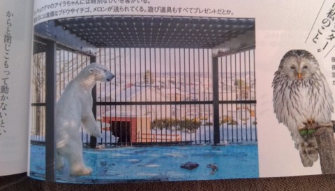 アイラちゃんも...