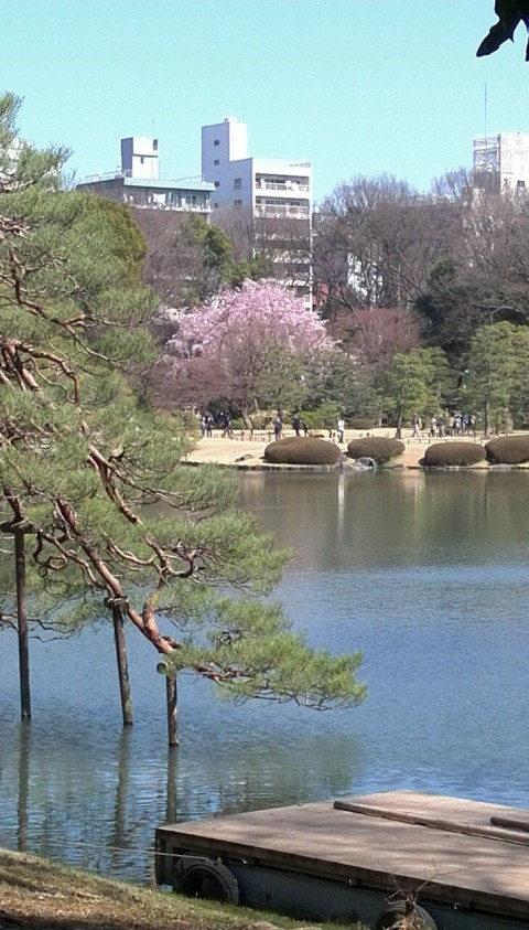 六義園(東京)