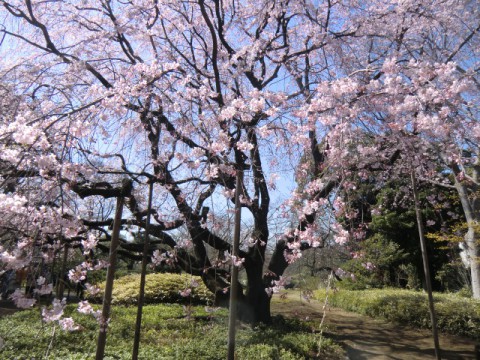 東京見物その3