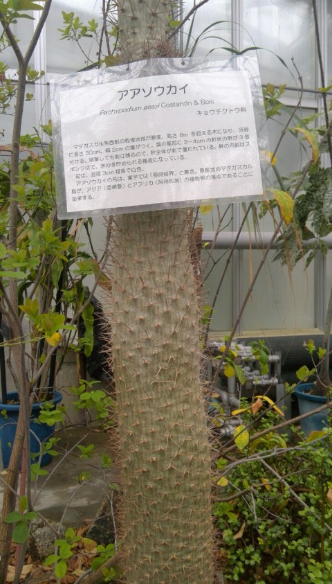 ああそうかい